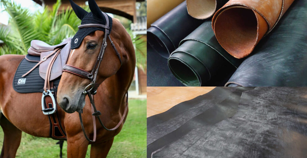 ブライドルレザーの革5枚とその革の表面のプルーム、実際に馬具として使用されている馬と馬具の写真