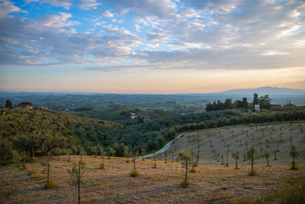 イタリア　トスカーナの風景